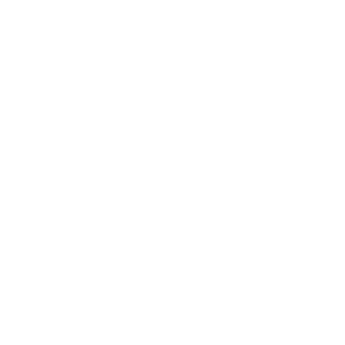 Cyber fox