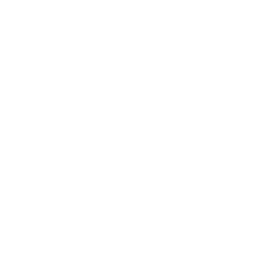 Sentinal one